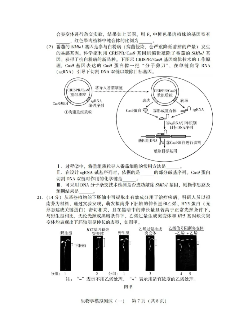 广东省2025年普通高等学校招生全国统一考试模拟测试（一）生物_2025年3月_250320广东省2025年普通高等学校招生全国统一考试模拟测试（一）（广东一模）（全科）