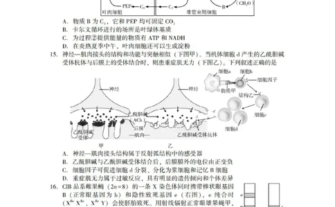 广东省2025年普通高等学校招生全国统一考试模拟测试（一）生物_2025年3月_250320广东省2025年普通高等学校招生全国统一考试模拟测试（一）（广东一模）（全科）