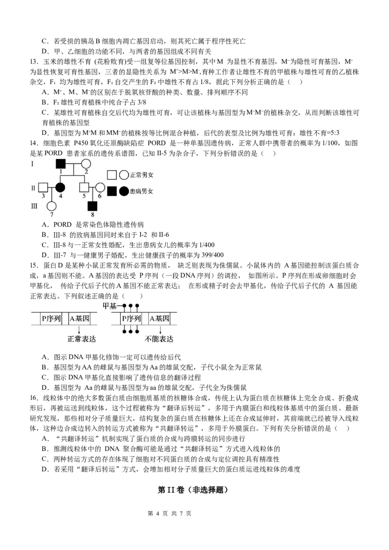 河南省信阳市淮滨县滨城高级中学2025-2026学年高三上学期9月月考生物_2025年10月_251006河南省信阳市淮滨县滨城高级中学2025-2026学年高三上学期9月月考