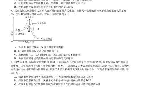 河南省信阳市淮滨县滨城高级中学2025-2026学年高三上学期9月月考生物_2025年10月_251006河南省信阳市淮滨县滨城高级中学2025-2026学年高三上学期9月月考