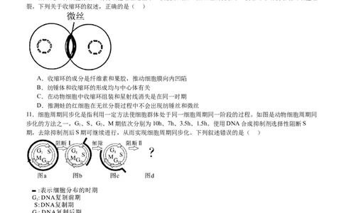 河南省信阳市淮滨县滨城高级中学2025-2026学年高三上学期9月月考生物_2025年10月_251006河南省信阳市淮滨县滨城高级中学2025-2026学年高三上学期9月月考