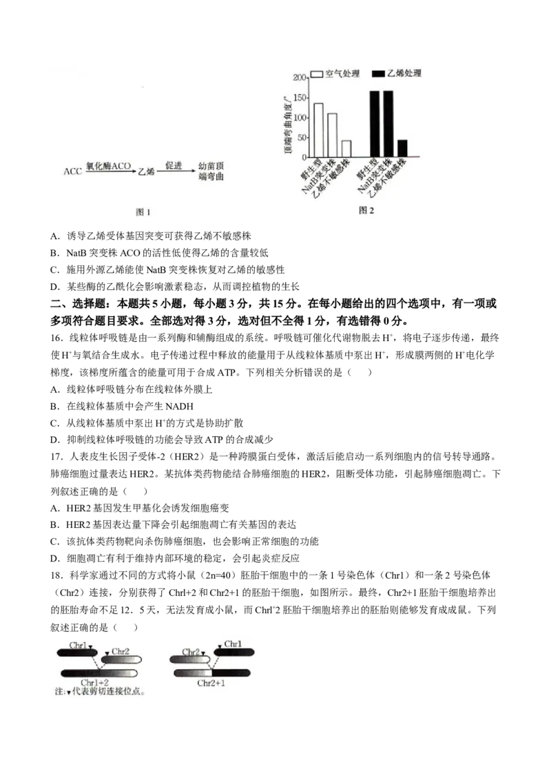 辽宁省抚顺市省重点高中六校2025届高三上学期期末考试生物Word版含解析_2025年1月_250113辽宁省抚顺市省重点高中六校2025届高三上学期期末考试