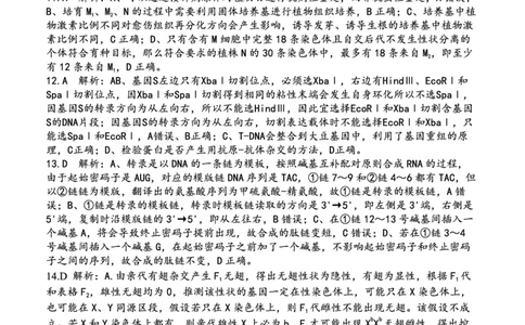 重庆市第八中学2025届高三2月适应性月考卷（五）生物答案_2025年3月_250302重庆市第八中学2025届高三2月适应性月考卷（五）（全科）