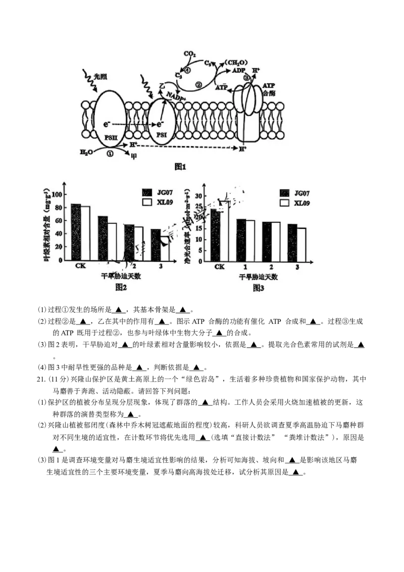 江苏省苏北四市（徐州、宿迁、淮安、连云港）2025届高三第一次调研测试生物试题（含答案）_2025年1月