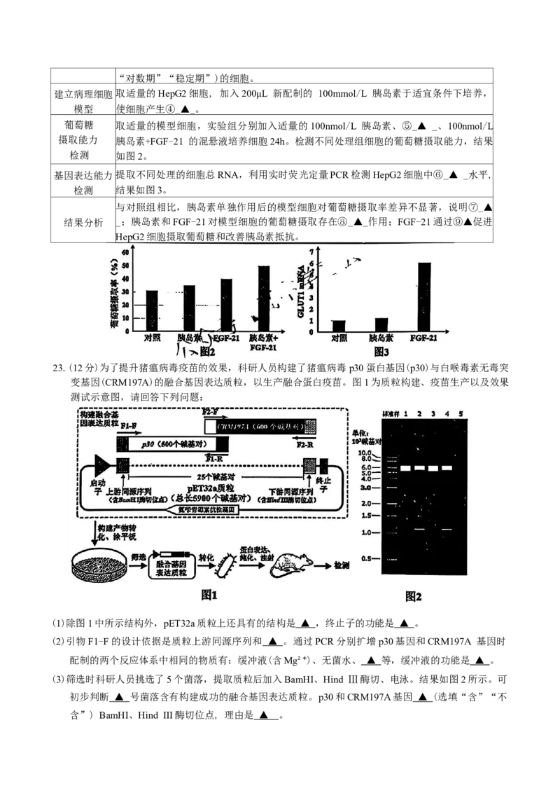 江苏省苏北四市（徐州、宿迁、淮安、连云港）2025届高三第一次调研测试生物试题（含答案）_2025年1月