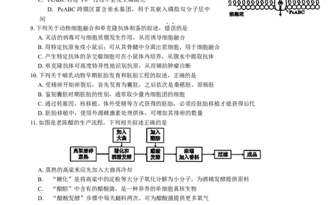 江苏省苏北四市（徐州、宿迁、淮安、连云港）2025届高三第一次调研测试生物试题（含答案）_2025年1月