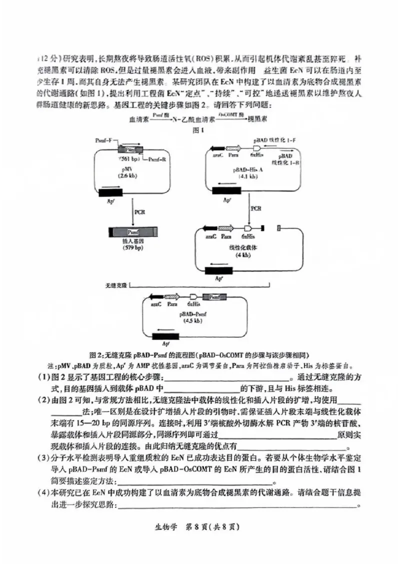 生物试卷_2025年4月_250414广东省茂名市2025届高三下学期二模（全科）_广东省茂名市2025届高三下学期二模试题生物