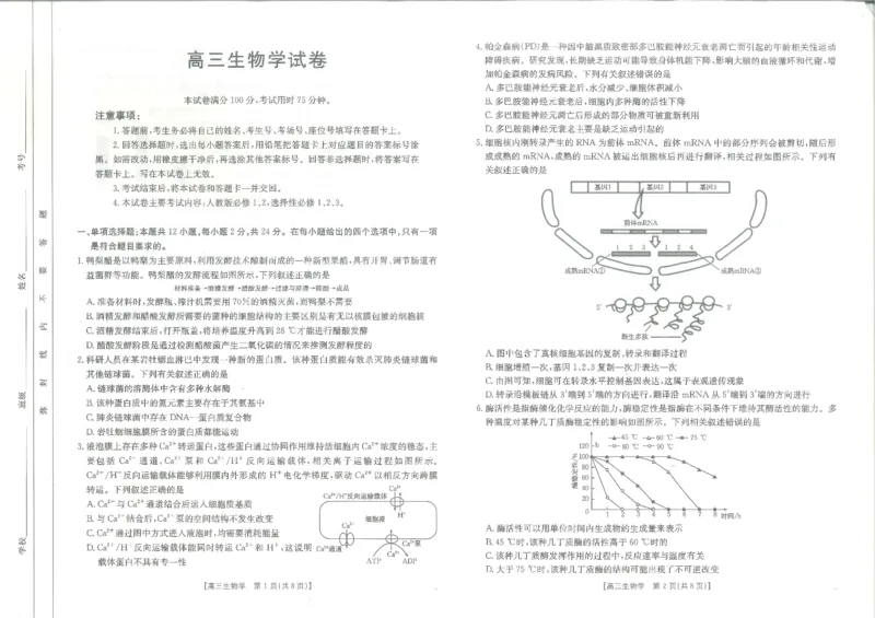 江西省高三金太阳5月三新协同教研共同体考试（25-490C）生物_2025年5月_250510江西省高三金太阳5月三新协同教研共同体考试（25-490C）（全科）