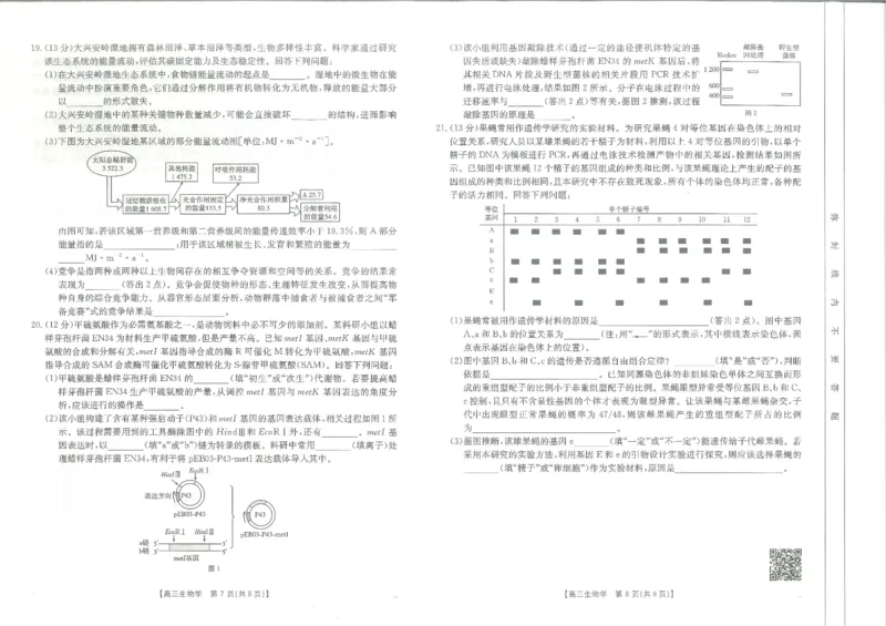 江西省高三金太阳5月三新协同教研共同体考试（25-490C）生物_2025年5月_250510江西省高三金太阳5月三新协同教研共同体考试（25-490C）（全科）