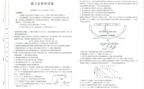 江西省高三金太阳5月三新协同教研共同体考试（25-490C）生物_2025年5月_250510江西省高三金太阳5月三新协同教研共同体考试（25-490C）（全科）
