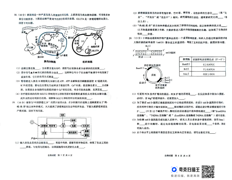 四川省广安市高2022级第二次诊断性考试生物_2025年3月_250329四川省广安市高2022级第二次诊断性考试（四川六市二诊）（全科）