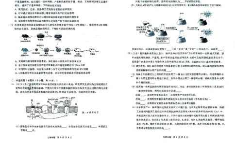 四川省广安市高2022级第二次诊断性考试生物_2025年3月_250329四川省广安市高2022级第二次诊断性考试（四川六市二诊）（全科）