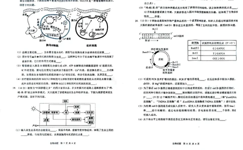 四川省广安市高2022级第二次诊断性考试生物_2025年3月_250329四川省广安市高2022级第二次诊断性考试（四川六市二诊）（全科）