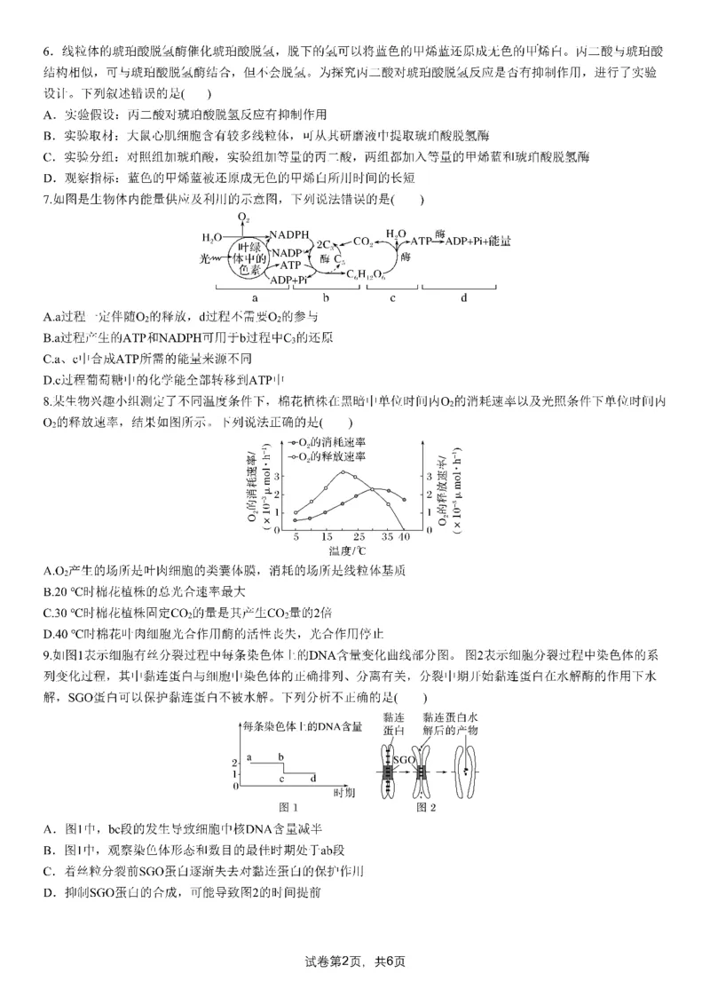 成都市第七中学2025-2026学年高三上学期8月入学考试生物_2025年8月_250828四川省成都市第七中学2025-2026学年高三上学期8月入学考试（全科）