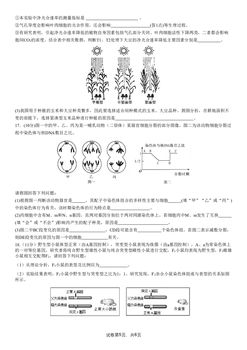 成都市第七中学2025-2026学年高三上学期8月入学考试生物_2025年8月_250828四川省成都市第七中学2025-2026学年高三上学期8月入学考试（全科）