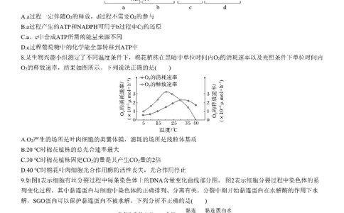 成都市第七中学2025-2026学年高三上学期8月入学考试生物_2025年8月_250828四川省成都市第七中学2025-2026学年高三上学期8月入学考试（全科）
