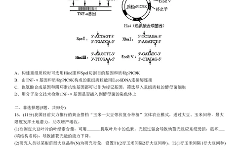 成都市第七中学2025-2026学年高三上学期8月入学考试生物_2025年8月_250828四川省成都市第七中学2025-2026学年高三上学期8月入学考试（全科）