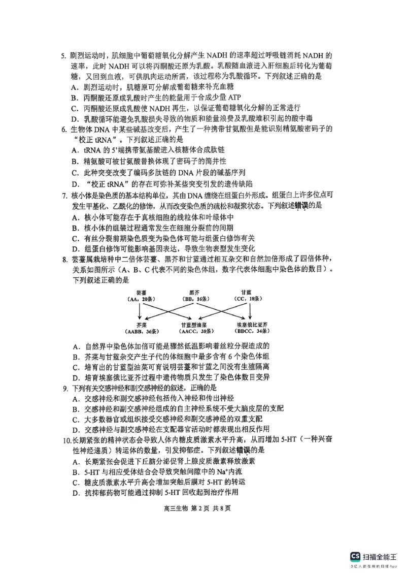 江苏省苏州市2024-2025学年高三上学期1月期末生物试题_2025年1月_250115江苏省苏州市2024-2025学年高三上学期1月期末（全科）
