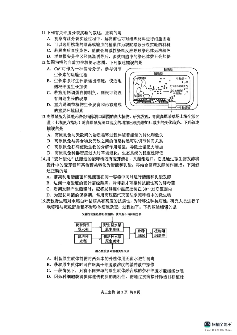 江苏省苏州市2024-2025学年高三上学期1月期末生物试题_2025年1月_250115江苏省苏州市2024-2025学年高三上学期1月期末（全科）
