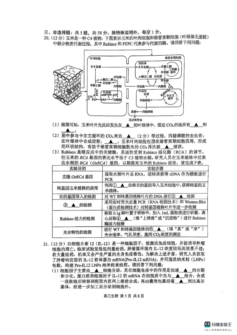 江苏省苏州市2024-2025学年高三上学期1月期末生物试题_2025年1月_250115江苏省苏州市2024-2025学年高三上学期1月期末（全科）