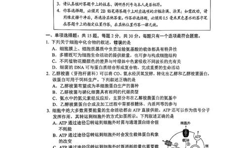 江苏省苏州市2024-2025学年高三上学期1月期末生物试题_2025年1月_250115江苏省苏州市2024-2025学年高三上学期1月期末（全科）