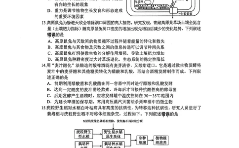江苏省苏州市2024-2025学年高三上学期1月期末生物试题_2025年1月_250115江苏省苏州市2024-2025学年高三上学期1月期末（全科）