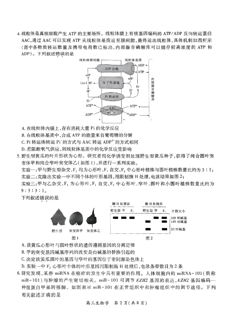 江西省上进联考2025届高三年级5月联合测评生物_2025年5月_250511江西省稳派上进联考2025届高三年级5月联合测评（全科）