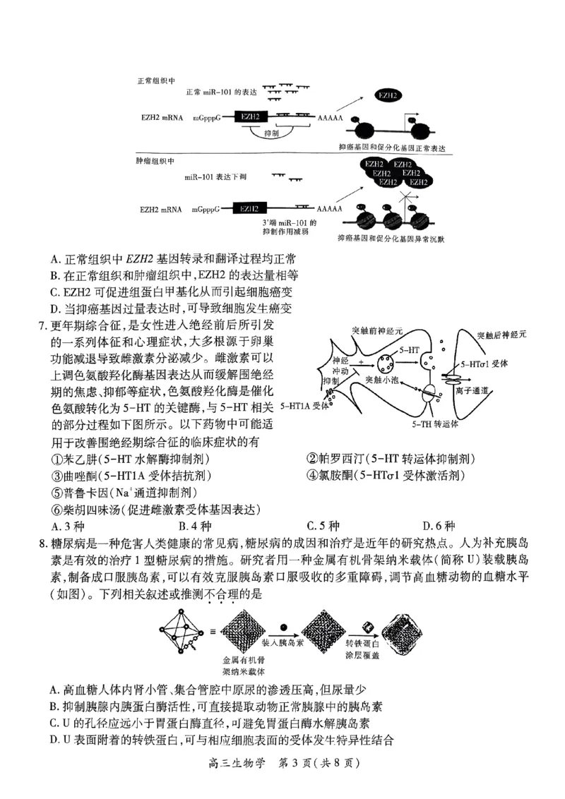 江西省上进联考2025届高三年级5月联合测评生物_2025年5月_250511江西省稳派上进联考2025届高三年级5月联合测评（全科）