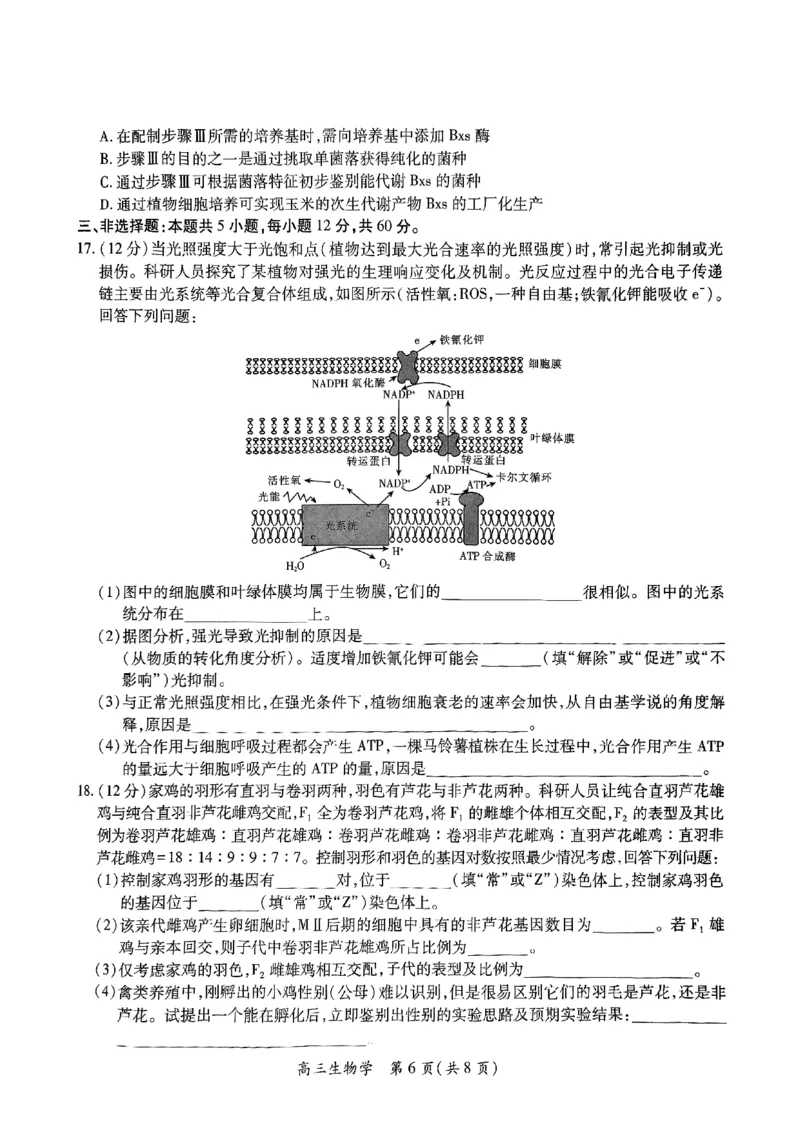 江西省上进联考2025届高三年级5月联合测评生物_2025年5月_250511江西省稳派上进联考2025届高三年级5月联合测评（全科）