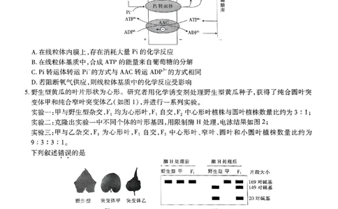 江西省上进联考2025届高三年级5月联合测评生物_2025年5月_250511江西省稳派上进联考2025届高三年级5月联合测评（全科）