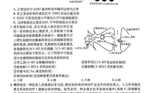 江西省上进联考2025届高三年级5月联合测评生物_2025年5月_250511江西省稳派上进联考2025届高三年级5月联合测评（全科）