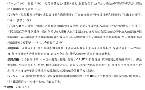 生物学安徽高三年级十月调研考试答案_2025年10月_251018安徽天一大联考豫皖联考2026届高三上学期十月调研考试（全科）_安徽高三年级十月调研考试答案