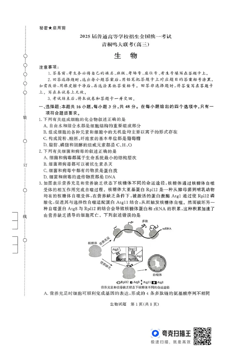 生物试题_2025年5月_2505112025届高三下学期5月青桐鸣大联考_2025届高三下学期5月青桐鸣大联考生物