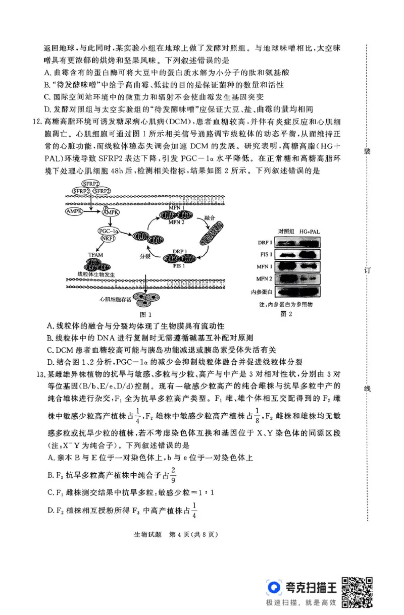 生物试题_2025年5月_2505112025届高三下学期5月青桐鸣大联考_2025届高三下学期5月青桐鸣大联考生物