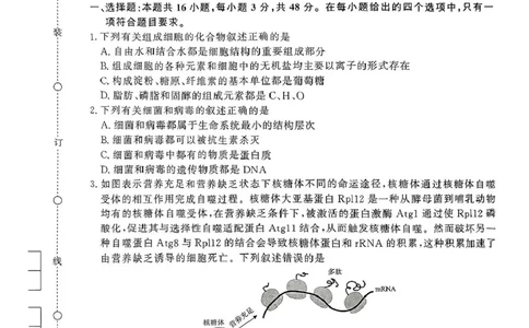 生物试题_2025年5月_2505112025届高三下学期5月青桐鸣大联考_2025届高三下学期5月青桐鸣大联考生物
