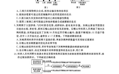 生物试题_2025年5月_2505112025届高三下学期5月青桐鸣大联考_2025届高三下学期5月青桐鸣大联考生物