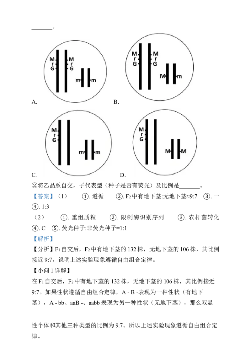 湖南省岳阳市岳阳县第一中学2024-2025学年高三上学期12月月考生物试题Word版含解析_2025年1月_250103湖南省岳阳市岳阳县第一中学2024-2025学年高三上学期12月月考