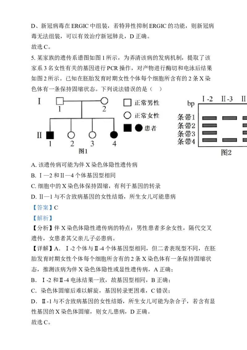 湖南省岳阳市岳阳县第一中学2024-2025学年高三上学期12月月考生物试题Word版含解析_2025年1月_250103湖南省岳阳市岳阳县第一中学2024-2025学年高三上学期12月月考