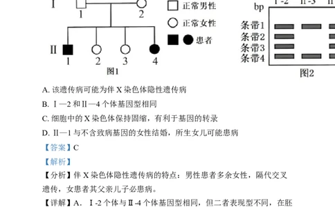 湖南省岳阳市岳阳县第一中学2024-2025学年高三上学期12月月考生物试题Word版含解析_2025年1月_250103湖南省岳阳市岳阳县第一中学2024-2025学年高三上学期12月月考
