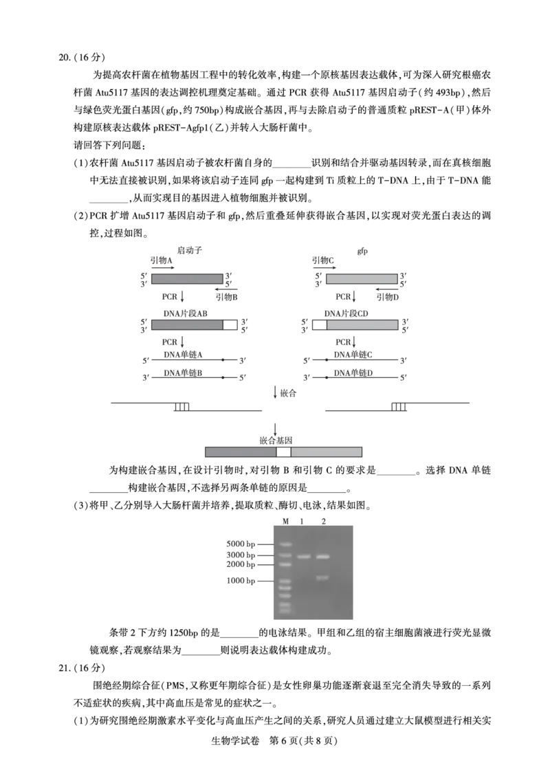 湖北省圆创名校联盟2025届高三第四次联合测评生物_2025年5月_250513湖北省圆创名校联盟2025届高三第四次联合测评（全科）