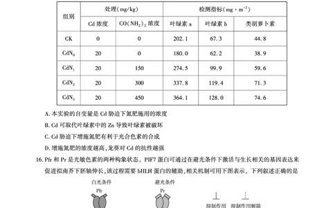 湖北省圆创名校联盟2025届高三第四次联合测评生物_2025年5月_250513湖北省圆创名校联盟2025届高三第四次联合测评（全科）