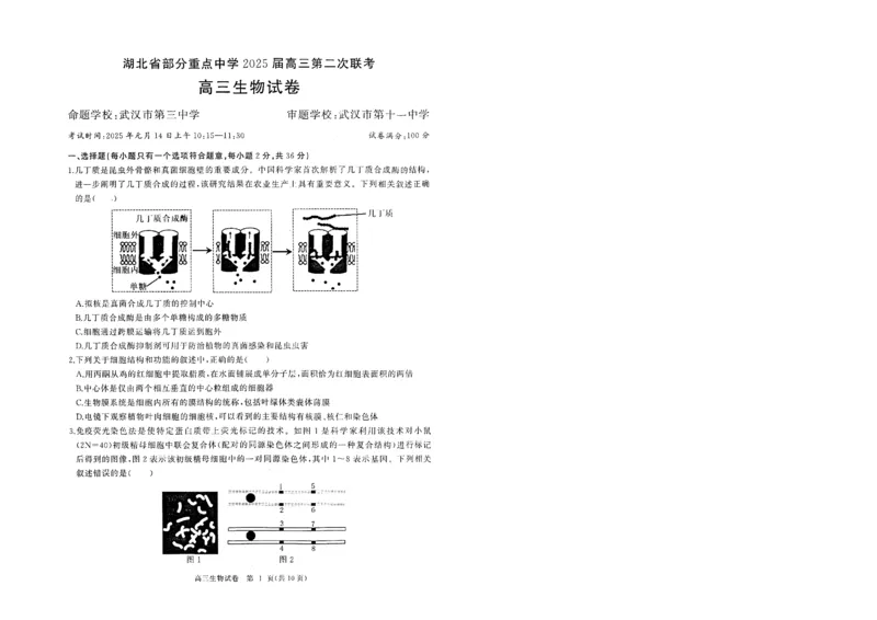 湖北省部分重点中学生物试卷_2025年1月_250116湖北省部分重点中学2025届高三第二次联考（全科）