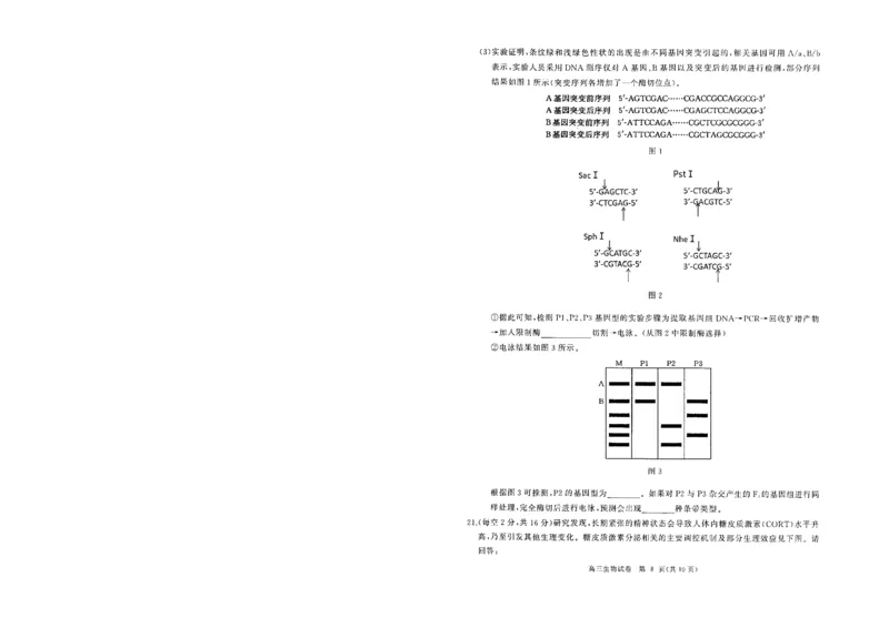 湖北省部分重点中学生物试卷_2025年1月_250116湖北省部分重点中学2025届高三第二次联考（全科）