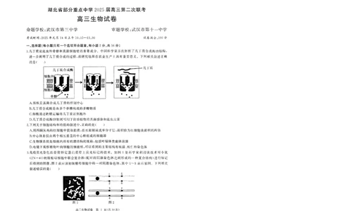 湖北省部分重点中学生物试卷_2025年1月_250116湖北省部分重点中学2025届高三第二次联考（全科）