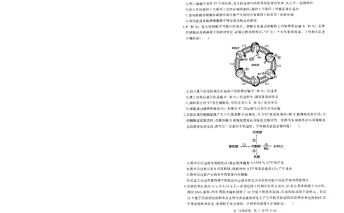 湖北省部分重点中学生物试卷_2025年1月_250116湖北省部分重点中学2025届高三第二次联考（全科）