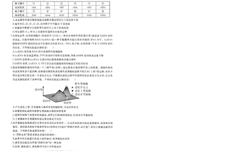 湖北省部分重点中学生物试卷_2025年1月_250116湖北省部分重点中学2025届高三第二次联考（全科）