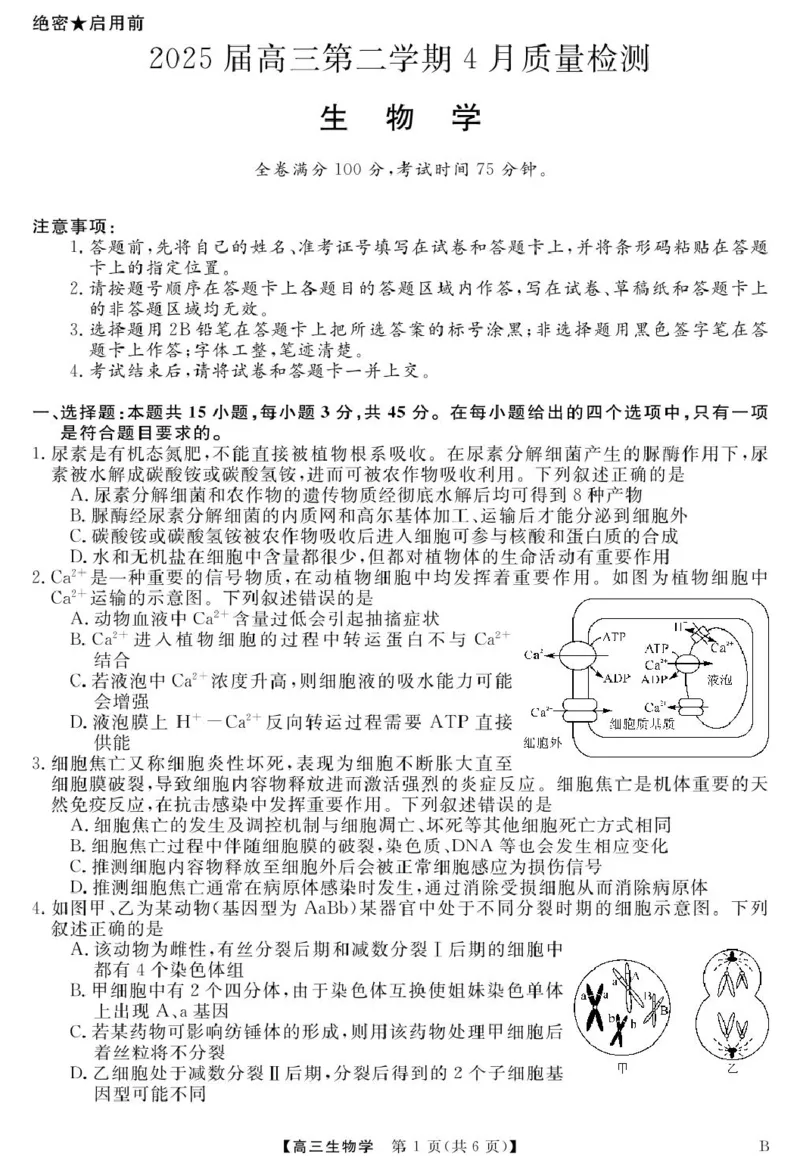 安徽师范大学附属中学2025届下学期4月质量检测生物+答案_2025年4月_250412安徽华师联盟（安徽师范大学附属中学）2025届下学期4月质量检测（全科）