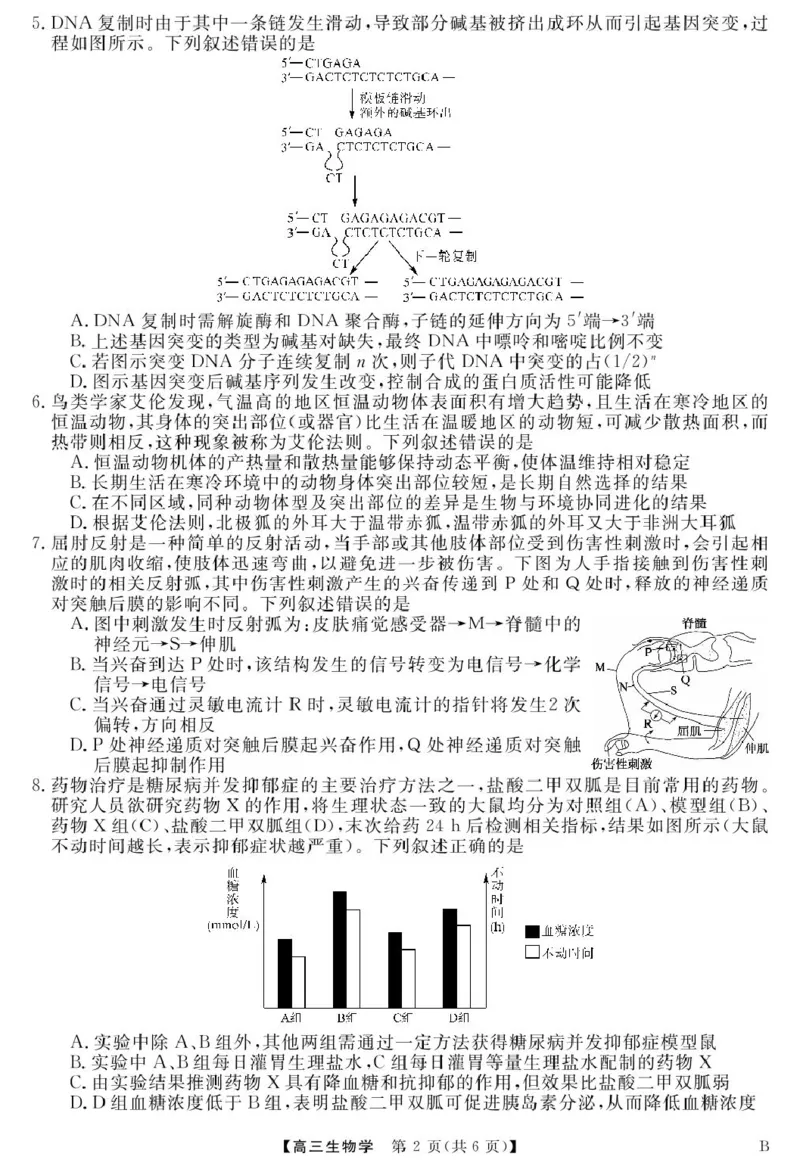 安徽师范大学附属中学2025届下学期4月质量检测生物+答案_2025年4月_250412安徽华师联盟（安徽师范大学附属中学）2025届下学期4月质量检测（全科）