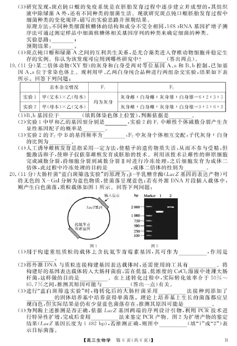 安徽师范大学附属中学2025届下学期4月质量检测生物+答案_2025年4月_250412安徽华师联盟（安徽师范大学附属中学）2025届下学期4月质量检测（全科）