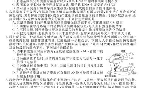安徽师范大学附属中学2025届下学期4月质量检测生物+答案_2025年4月_250412安徽华师联盟（安徽师范大学附属中学）2025届下学期4月质量检测（全科）